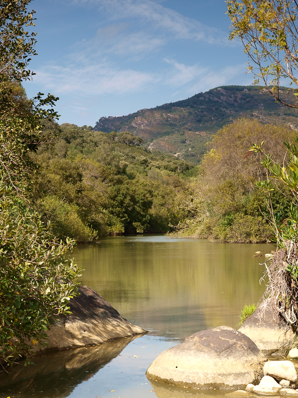 River Valley - Los Alcornocales, Andalucia. Spain.
